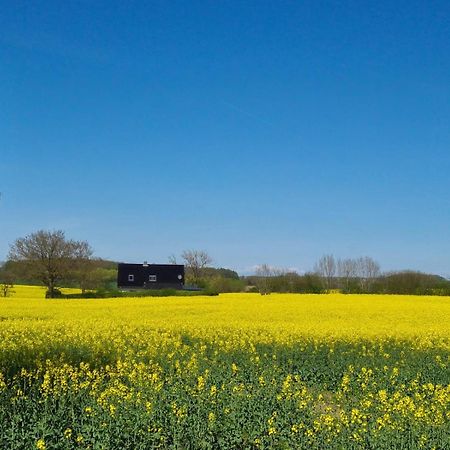 Ferienhaus Loimoos Schnarup-Thumby Kültér fotó