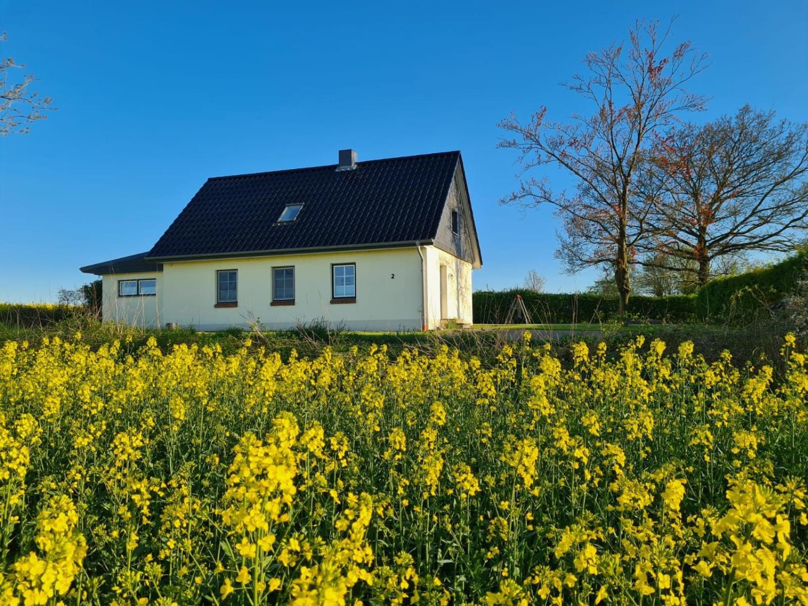 Ferienhaus Loimoos Schnarup-Thumby Kültér fotó